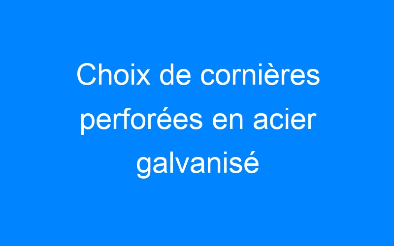 You are currently viewing Choix de cornières perforées en acier galvanisé
