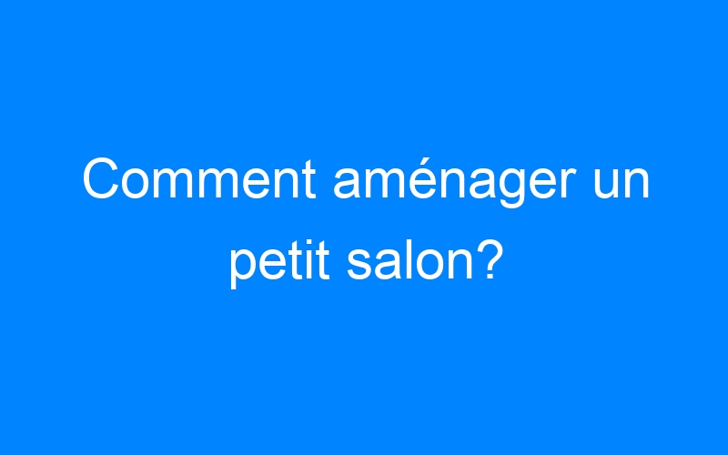 You are currently viewing Comment aménager un petit salon?
