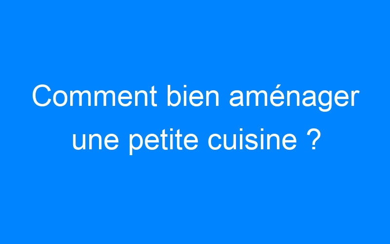 You are currently viewing Comment bien aménager une petite cuisine ?