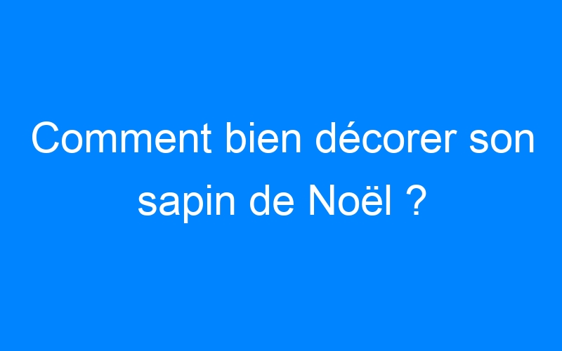 You are currently viewing Comment bien décorer son sapin de Noël ?