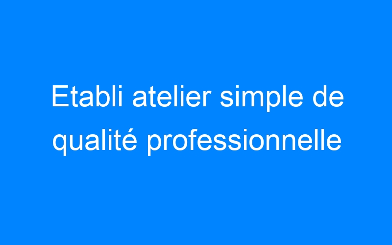 You are currently viewing Etabli atelier simple de qualité professionnelle