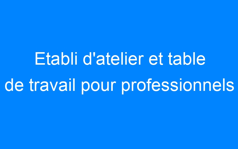You are currently viewing Etabli d'atelier et table de travail pour professionnels