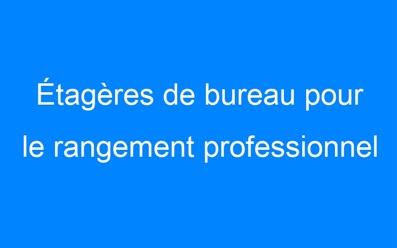 You are currently viewing Étagères de bureau pour le rangement professionnel