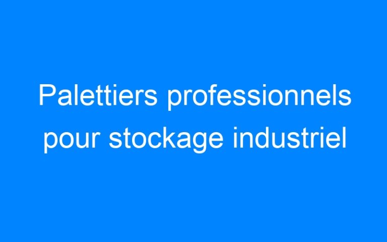 Lire la suite à propos de l’article Palettiers professionnels pour stockage industriel