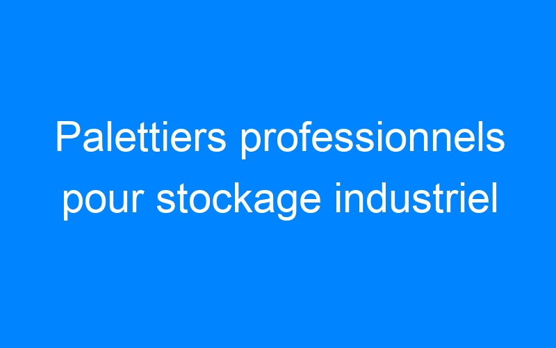 You are currently viewing Palettiers professionnels pour stockage industriel