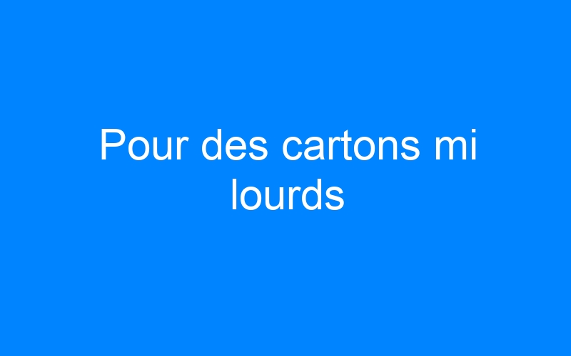 You are currently viewing Pour des cartons mi lourds