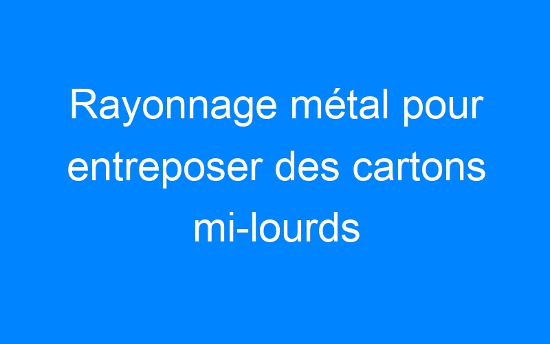 You are currently viewing Rayonnage métal pour entreposer des cartons mi-lourds