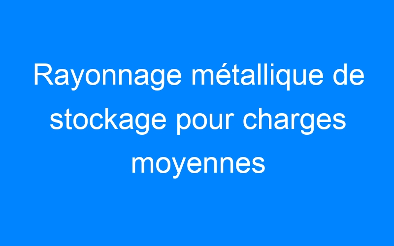 You are currently viewing Rayonnage métallique de stockage pour charges moyennes