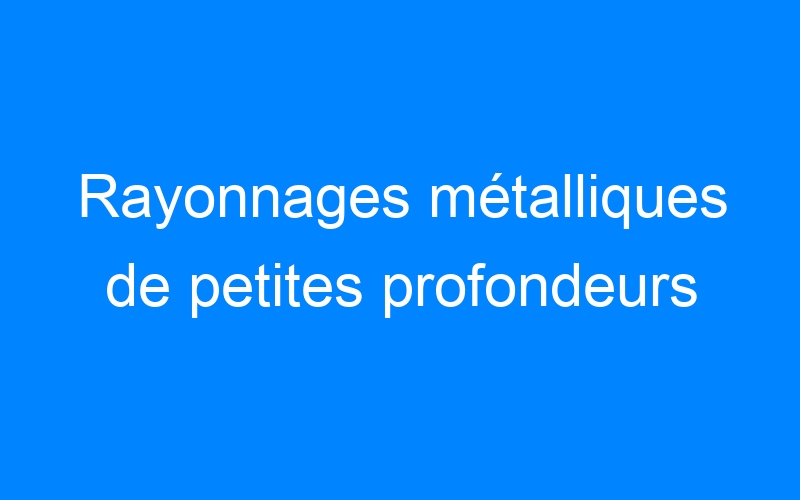 You are currently viewing Rayonnages métalliques de petites profondeurs