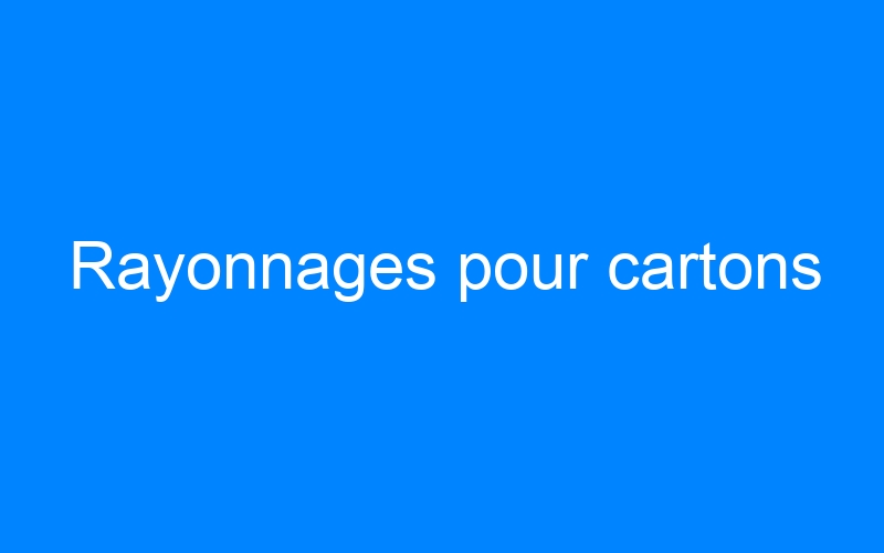 You are currently viewing Rayonnages pour cartons