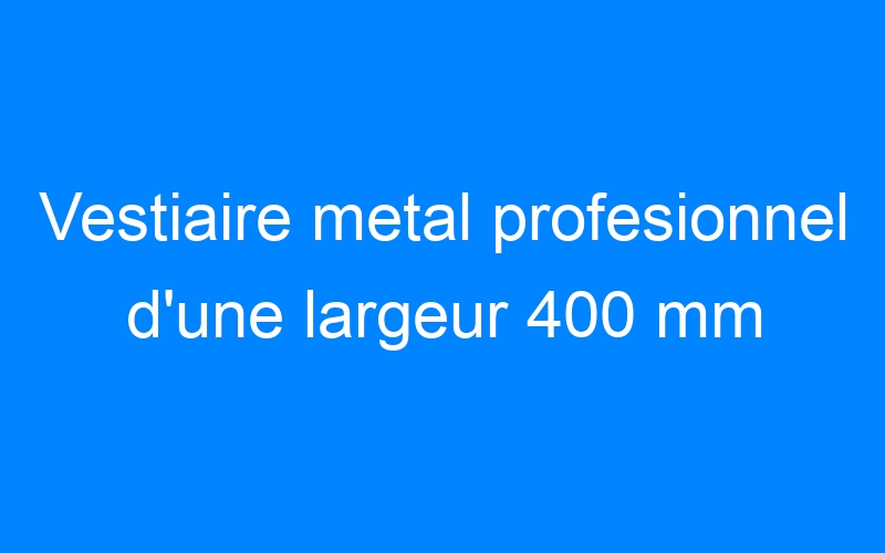You are currently viewing Vestiaire metal profesionnel d'une largeur 400 mm